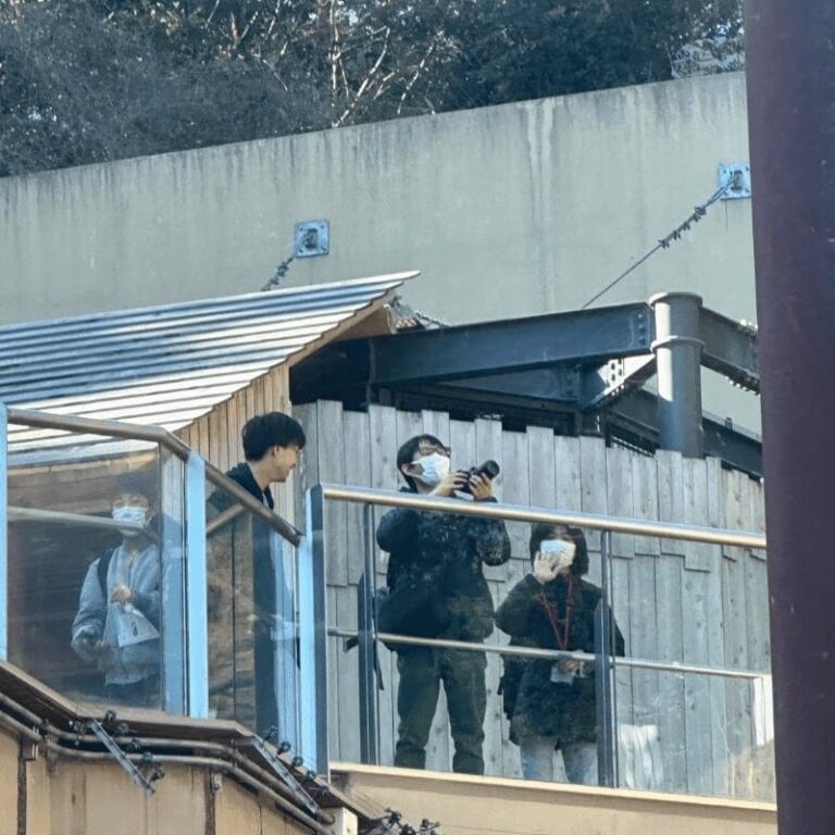 野鳥観察